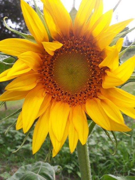 HeArt of Imagination onlyfans leak ass