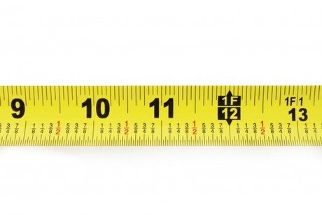 Gentle Giant leaked only fans nudes