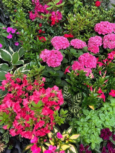 Mr CreamZ onlyfans leak xxx