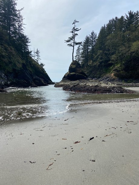 Mr SBSC nude leak onlyfans