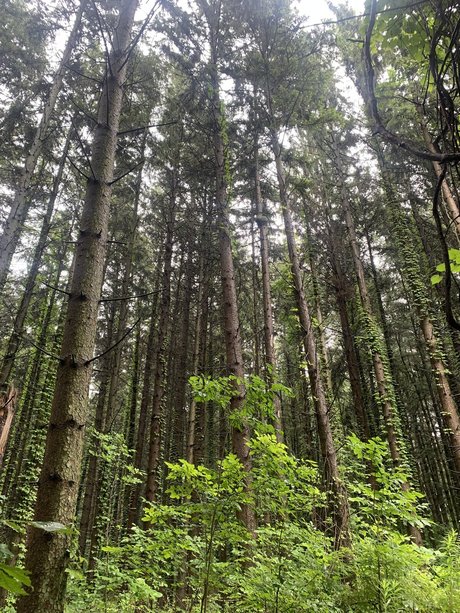 Mr Cream onlyfans porn leaked