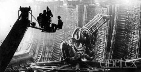 Trevor N onlyfans leaked free