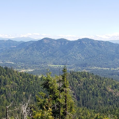 Mountainman onlyfans for free