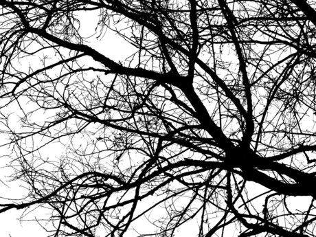 Morgan Modeus only fans leak porn