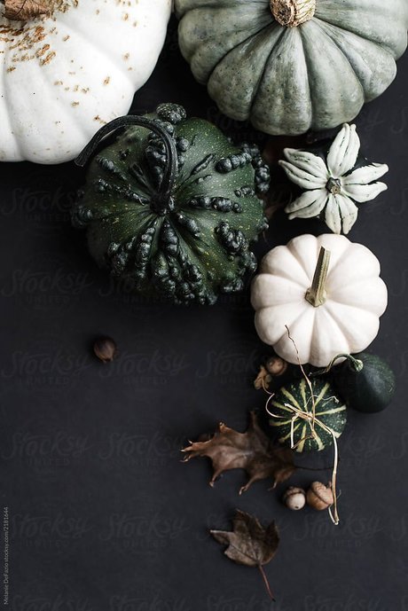 HoneyK onlyfans naked leaked