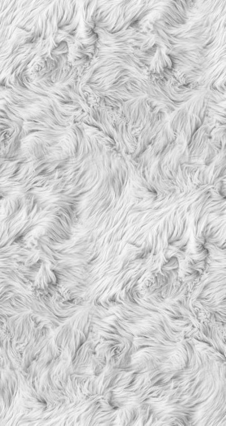 Florci onlyfans leajs