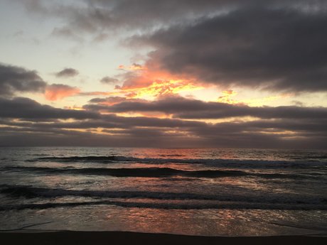 Cumshot Craig free_ only fans pic