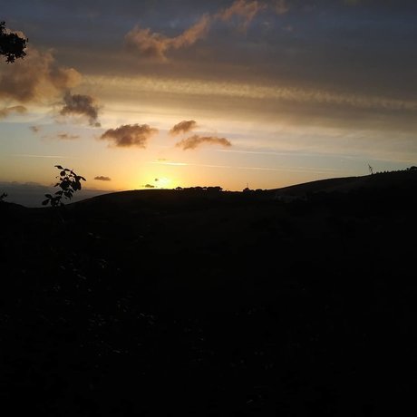 Tim leaked onlyfans sex tape