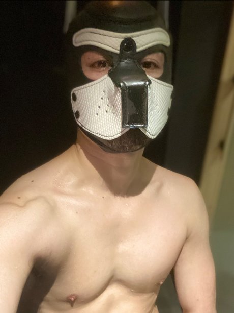 foccaseal xxx onlyfans