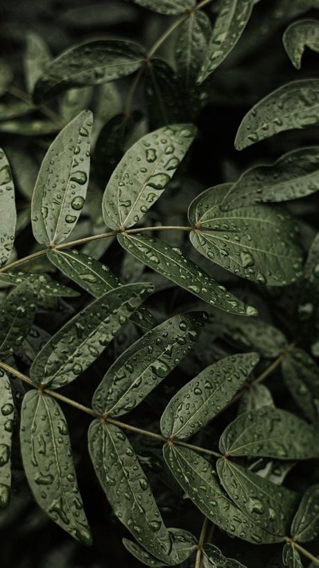 Ms Maleficent leaked onlyfans nudes