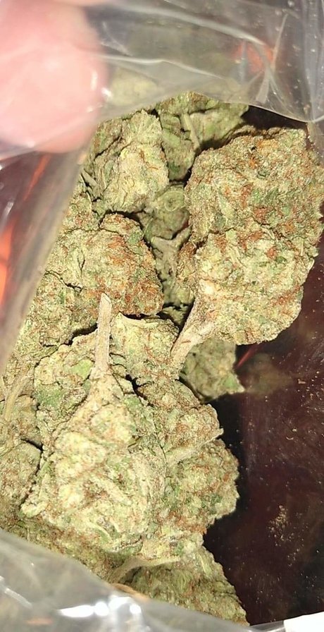 Mr Traditional onlyfans leak nudes