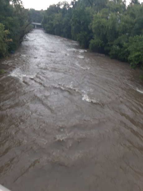 MR LongMan pics onlyfans