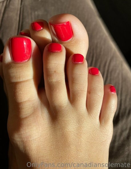 canadiansolemate onlyfans nude tits