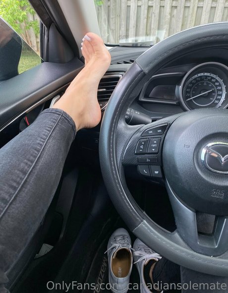 canadiansolemate onlyfans leaked porn