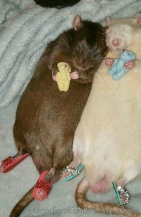 phat whale onlyfans content leaked