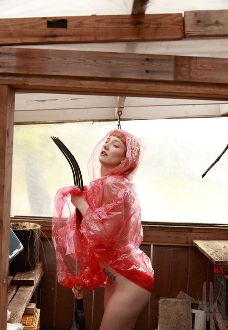 SDFoto onlyfans mega