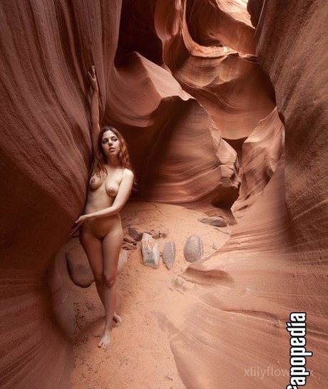 Xlilyflowersx tits onlyfans