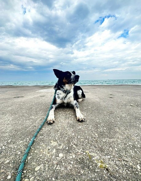 irisinthekitchen only fans nude