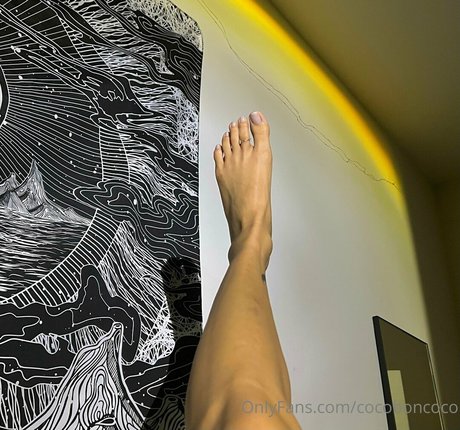 cocofreda porn onlyfans