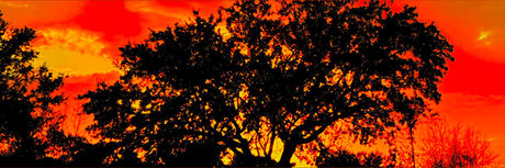 Georgian Hung 94 onlyfans nude pictures