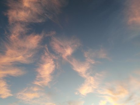 dreamyhedera onlyfans x