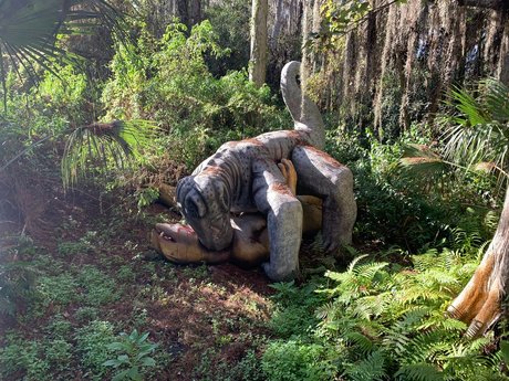 gaybuttsexpogchamp onlyfans pictures