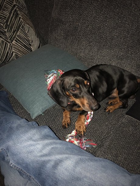 Daniel Gardner Jr_ onlyfans sex leak