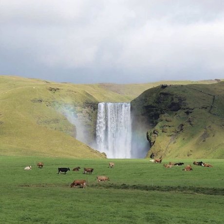 MsThing13 nude leak onlyfans