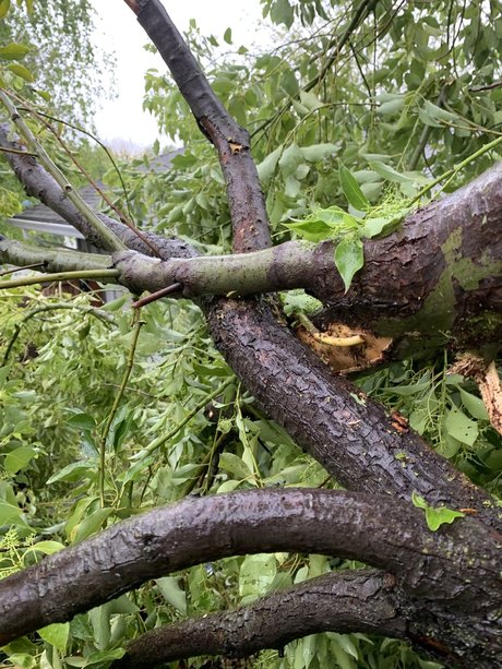 u3653168 onlyfans sex leaks