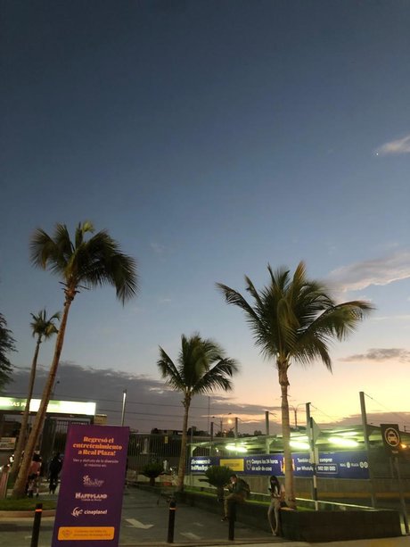 Mayra Rodr guez onlyfans sextape