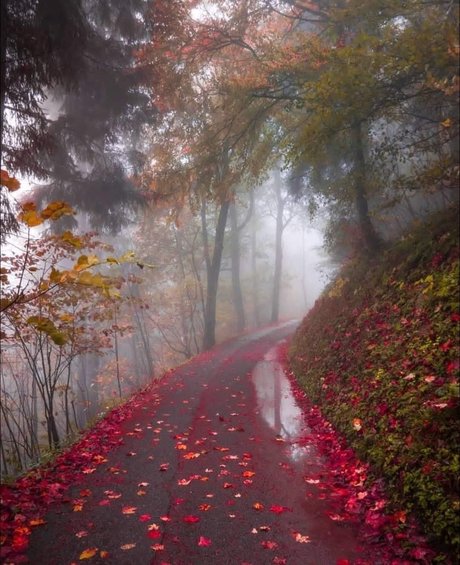 Aconite onlyfans sex leak