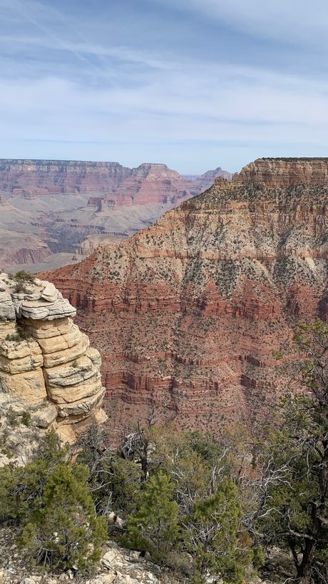 Colin Newman onlyfans leak