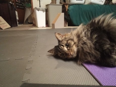 PussyPicsLimited 3 onlyfans xx