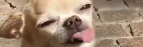 your bibi nude leaked onlyfans