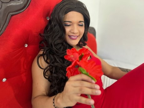 dominantcock fans only