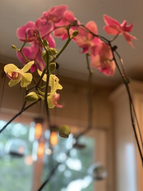 Dominic 8_ onlyfans pics