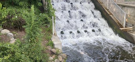 B The Fairy_ onlyfans gratis