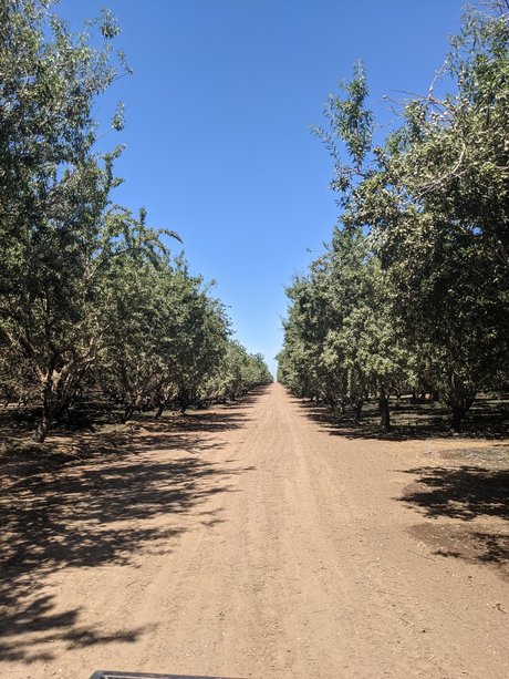 Farmer Adam tits onlyfans