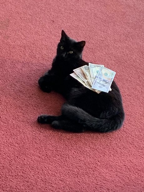 CurvyDream naked onlyfans leaked