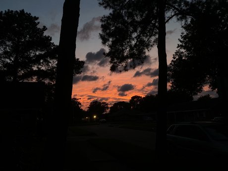 Natasha Jade only fans leaks