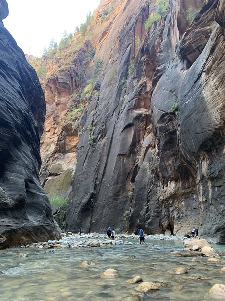 Alpacka onlyfans archives