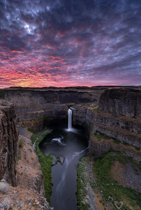 Blackpanther onlyfans leak porn