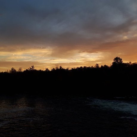 Fairy Lumberjack Daddy porn onlyfans leaks