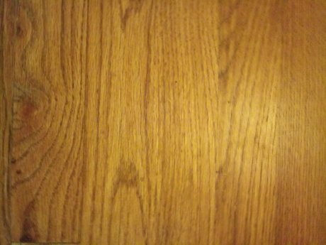 Dirty Dann only fans