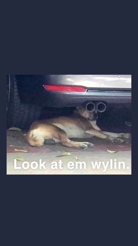 dacasablanca desnuda onlyfans