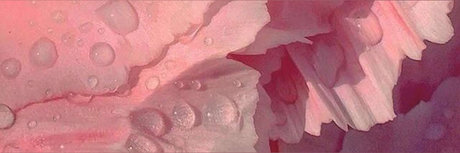 natalie FREE porn only fans