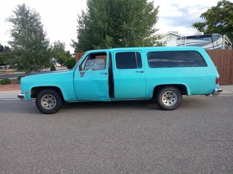 Natashi Mui onlyfans sex