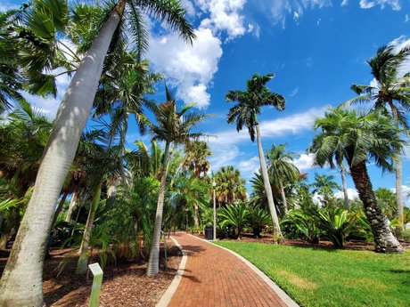 Natalie E Rose onlyfans sex tape