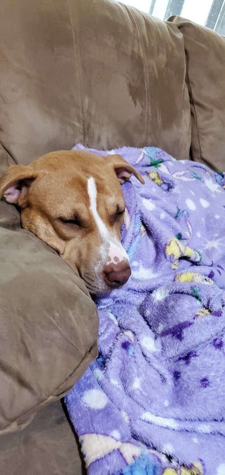 Cute Jess nude only fans leaks