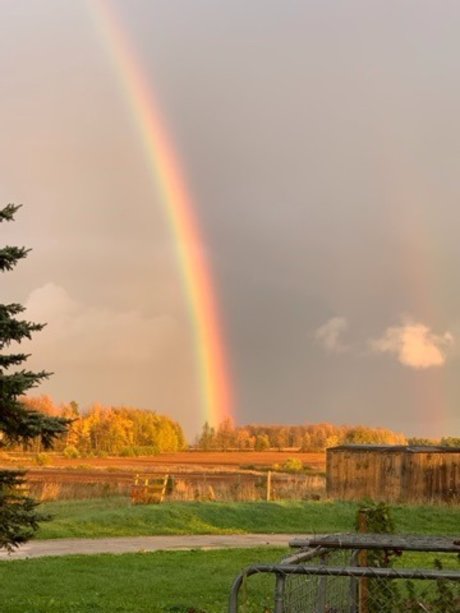 Chloena Starchild nude only fans